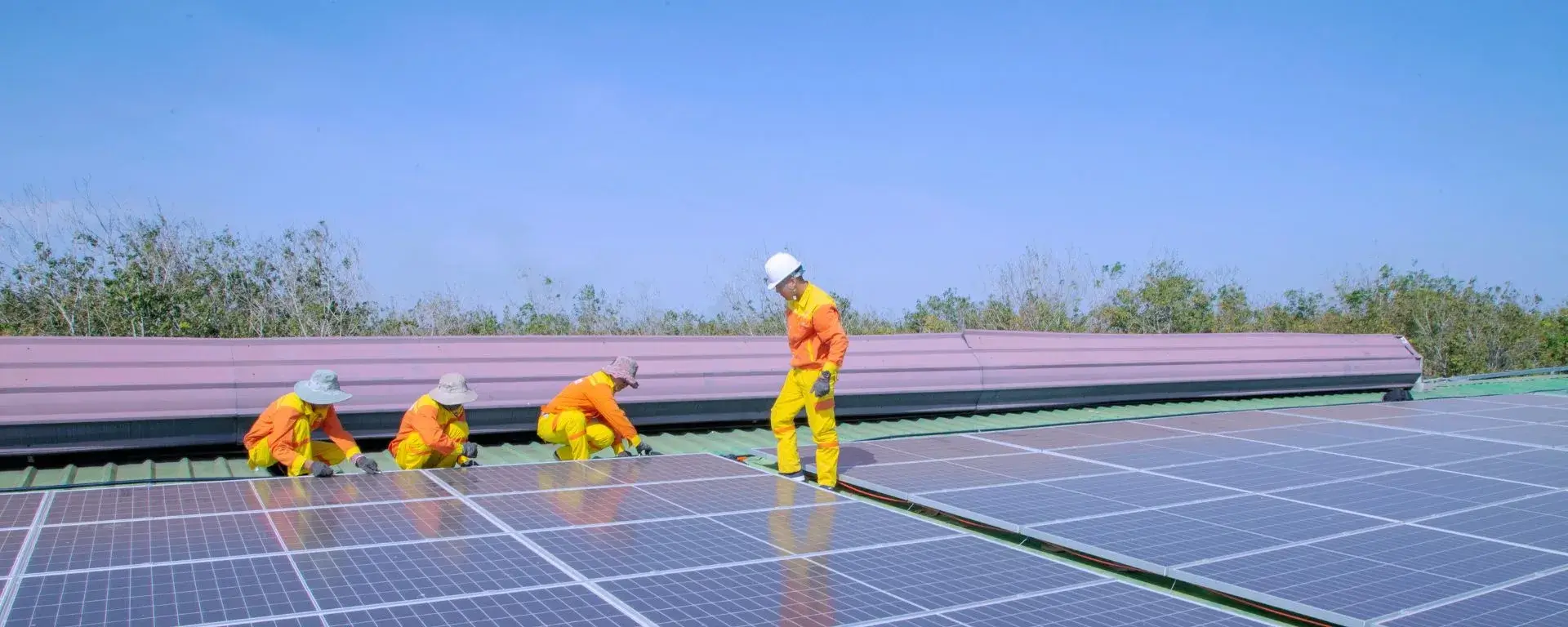 Automation & Integrations